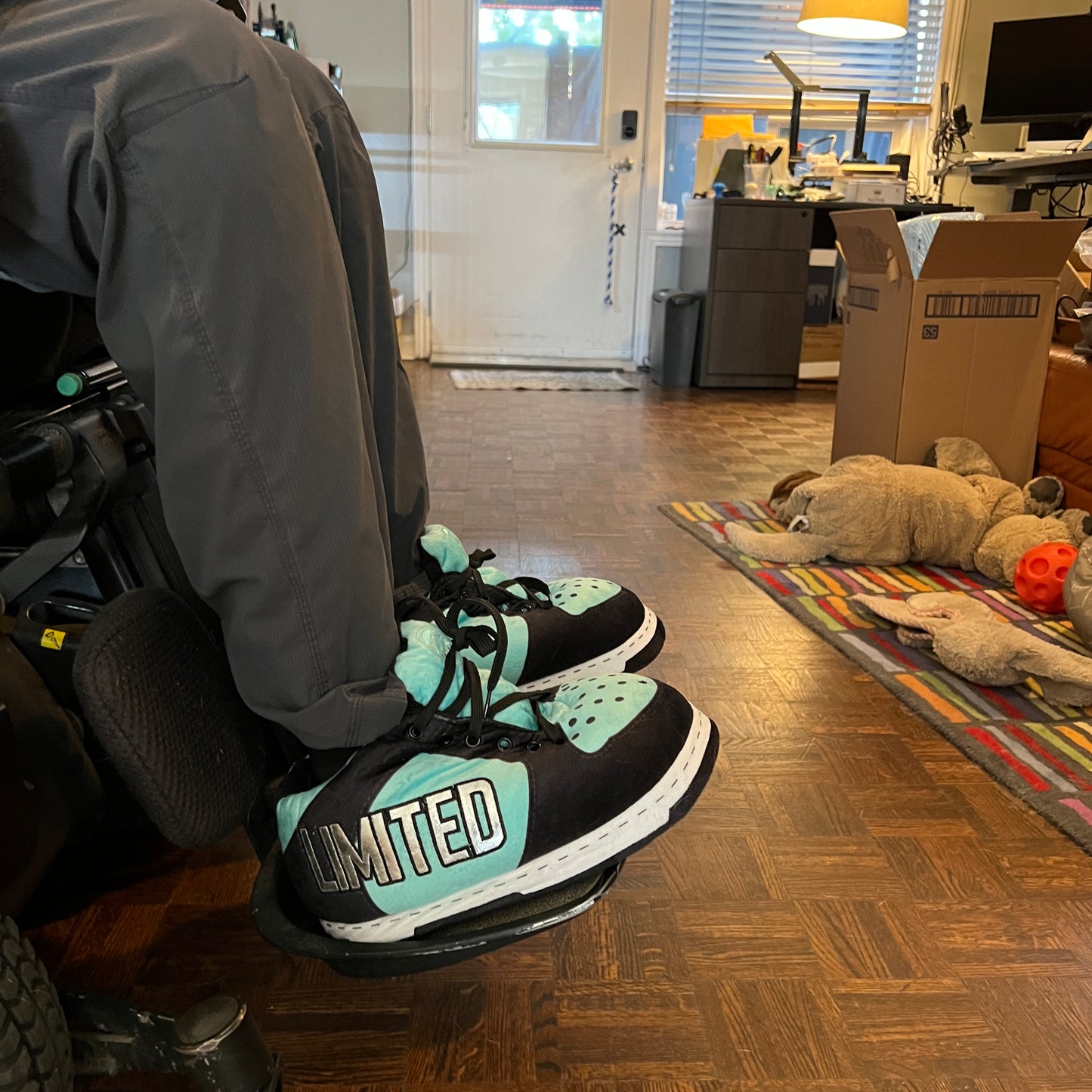 QwadKicks Sneakers Slippers !