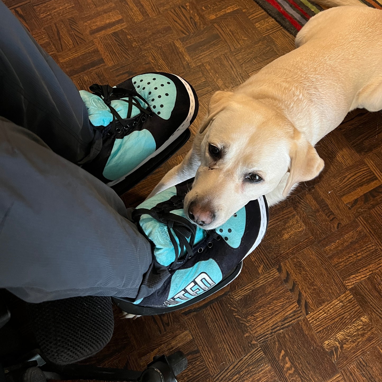QwadKicks Sneakers Slippers !
